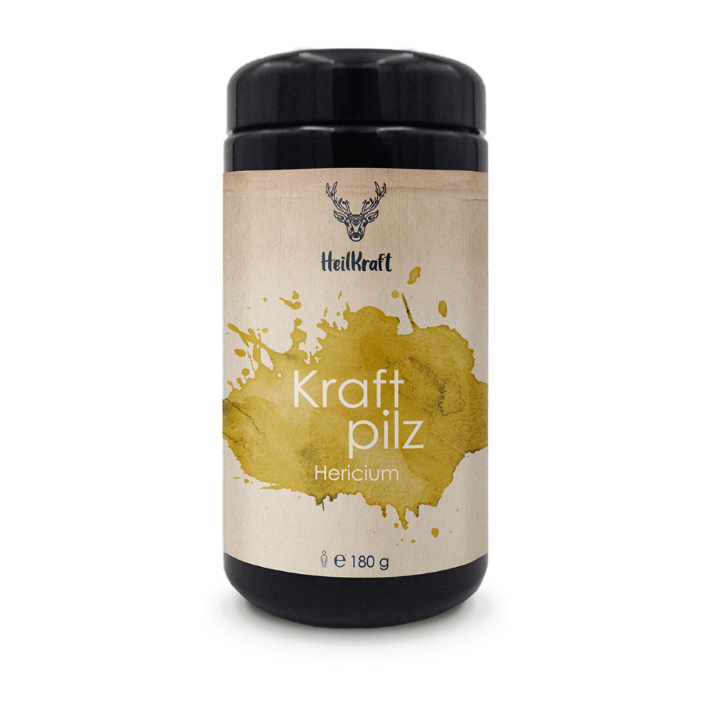 Heilkraft kraftpilz hericium