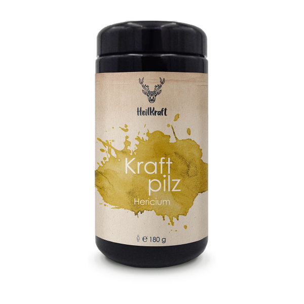 Kraftpilze
