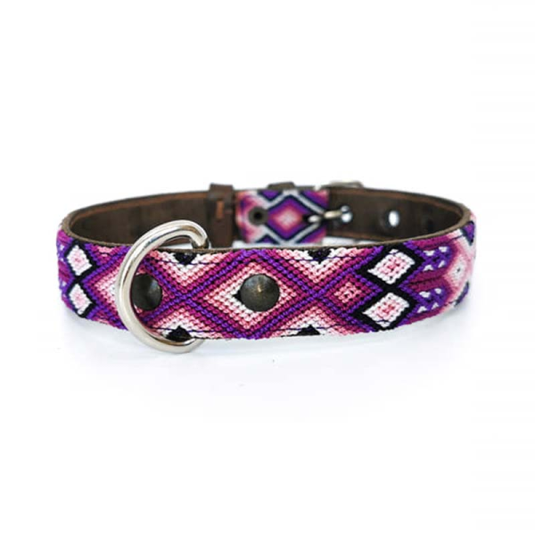 Kinaku hundehalsband tonina