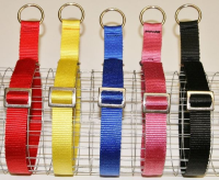 ZAMPA Halsband Zugstop gepolstert, Gr. 48