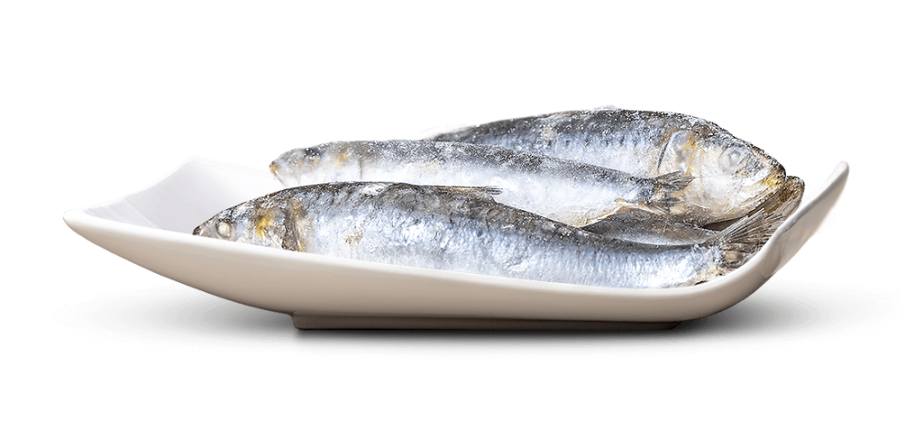 Big Pet Sardinen ganz 1000