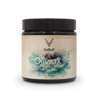 Heilkraft OlivioX³ Frische Brise - stark ozonisiertes Olivenöl 110ml