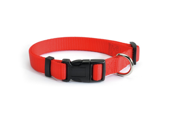 Camon Clipverstellbares Halsband 25mm blau