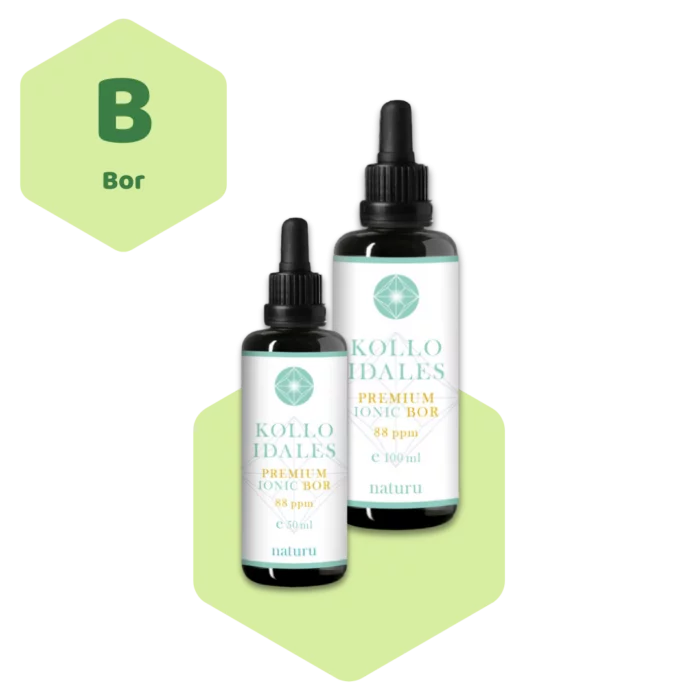 Naturu Kolloidales Bor 100ml