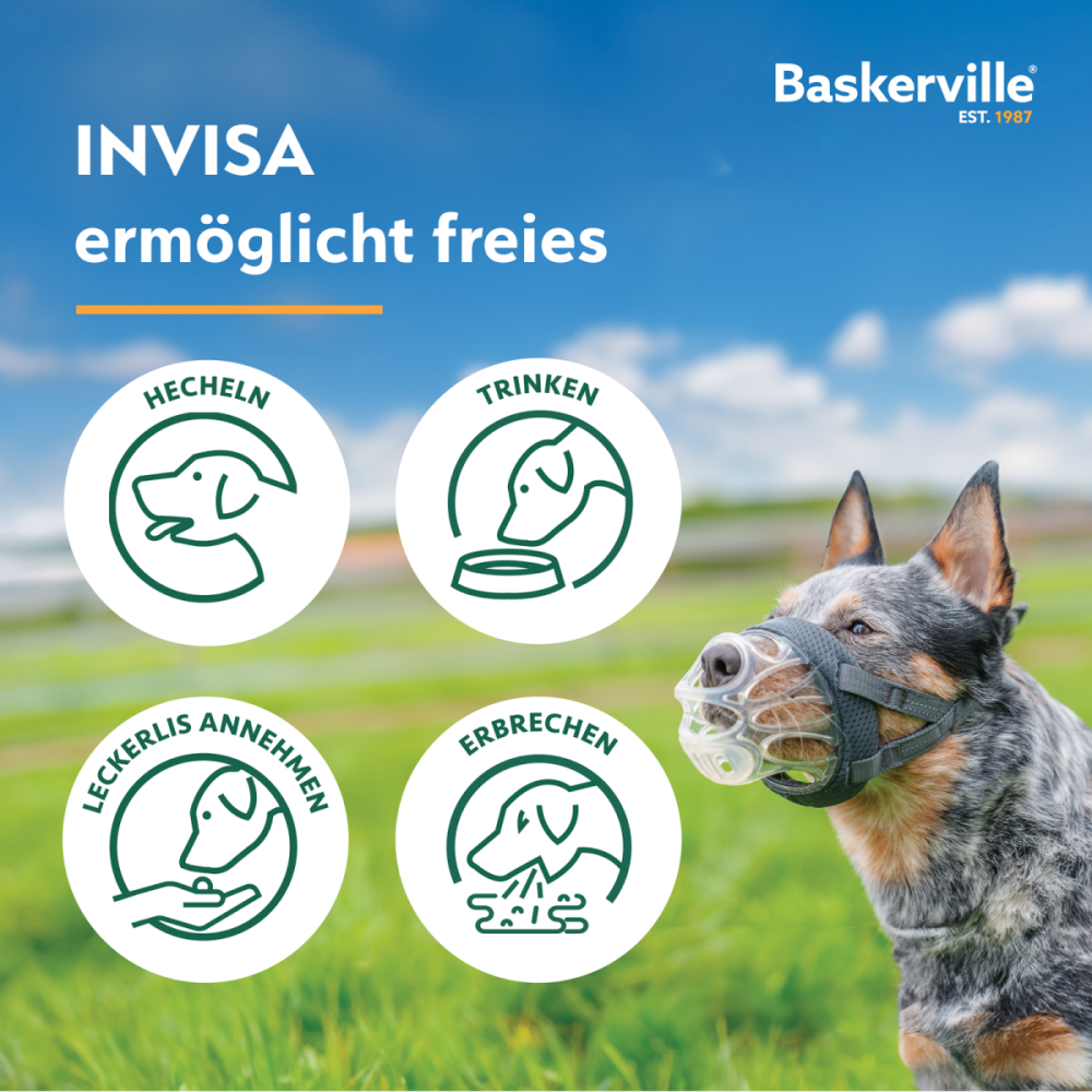 Baskerville Maulkorb Baskerville INVISA