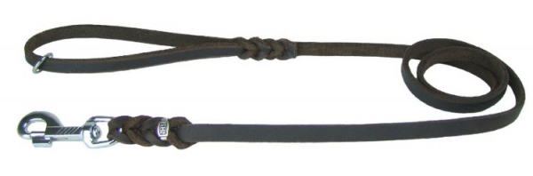 Lederleinen