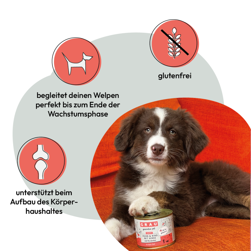 Grau Grau Dog Puppy NF Huhn & Rind mit Hirse 200g