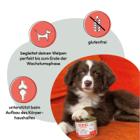 Grau Grau Dog Puppy NF Huhn & Rind mit Hirse 200g