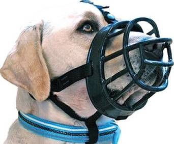 Keller Martingy Baskerville Ultra Muzzle T1