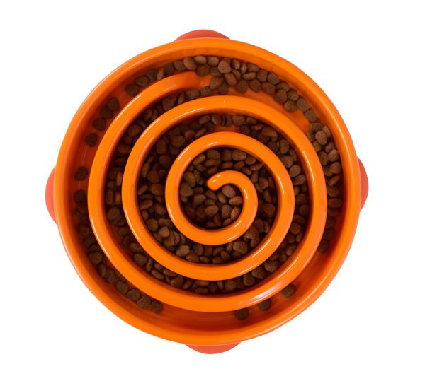 Fun Feeder -Orange
