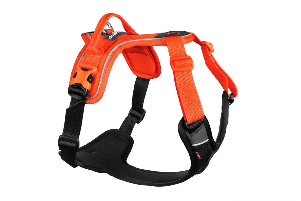 Non-Stop Ramble Harness, Orange/ Black