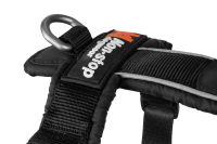 Non-Stop Line Harness 5.0, purple