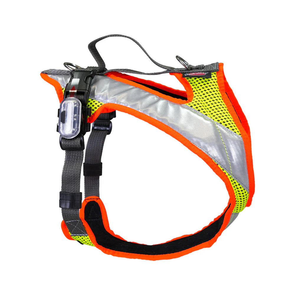 Grossenbacher Fun Run Hundegeschirr Night und 2 LED