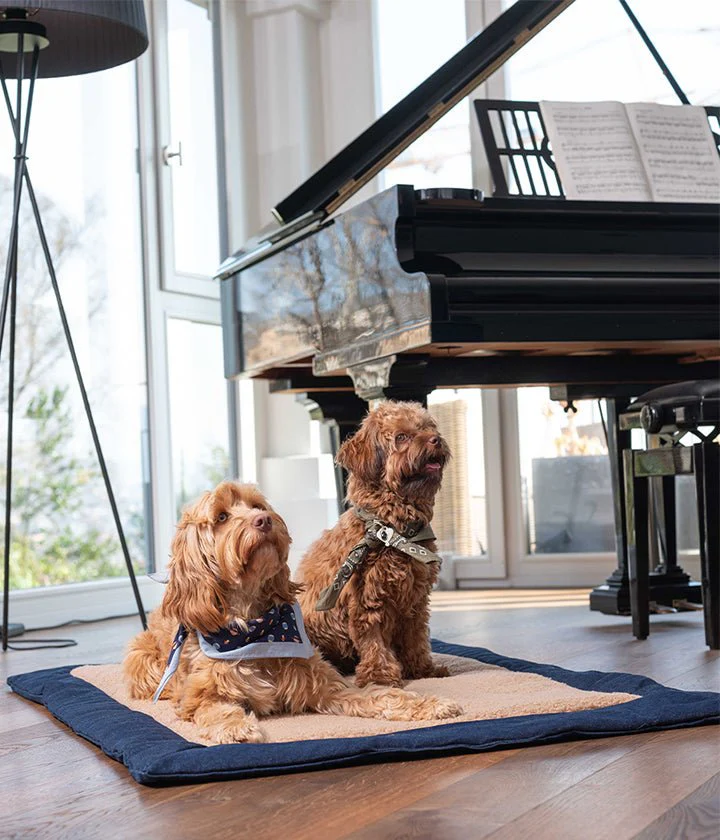 PET&CO Gino - luxury Dog Mat