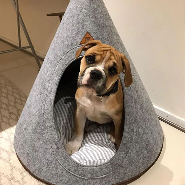 PET&CO Tonto - Luxury Dog