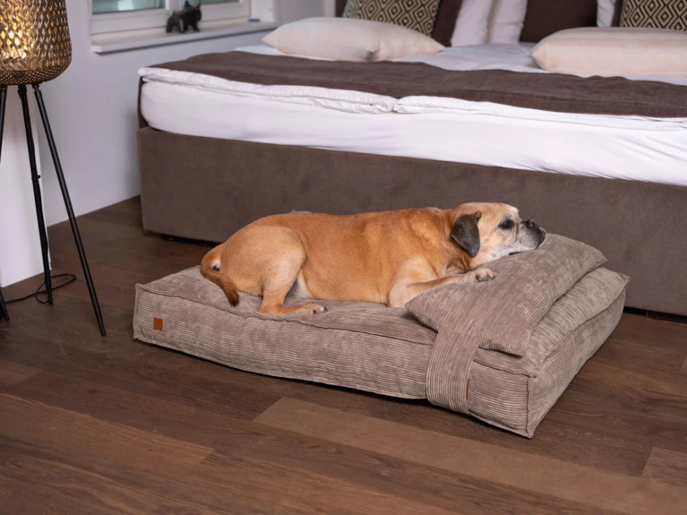 PET&CO Cordi – Khaki 80x60x15cm