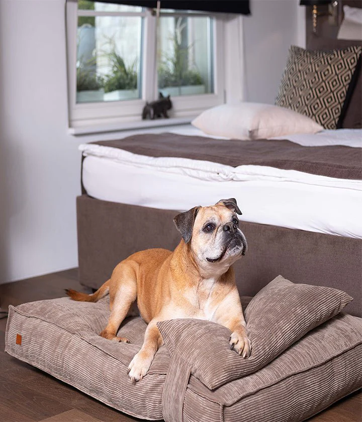 PET&CO Cordi – Khaki 80x60x15cm