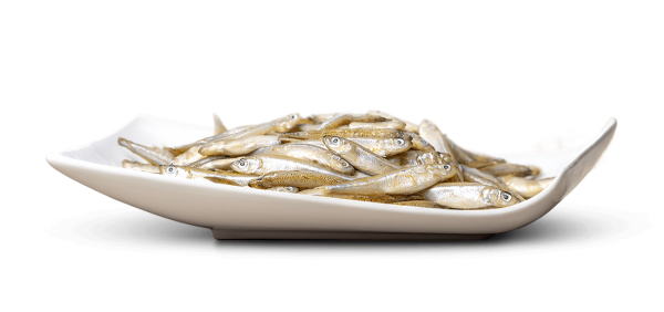 Big Pet Fischli ganz “Stint“ lose 450g