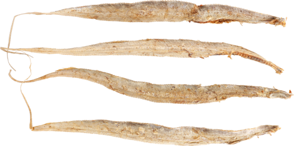 Fisch