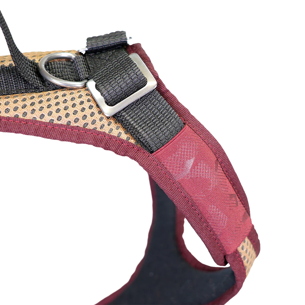 Grossenbacher Hundegeschirr Vary, grau/flieder,  3XS