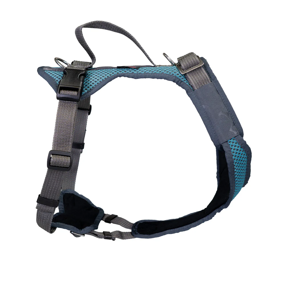 Grossenbacher Hundegeschirr Vary, petrol/grau,  L