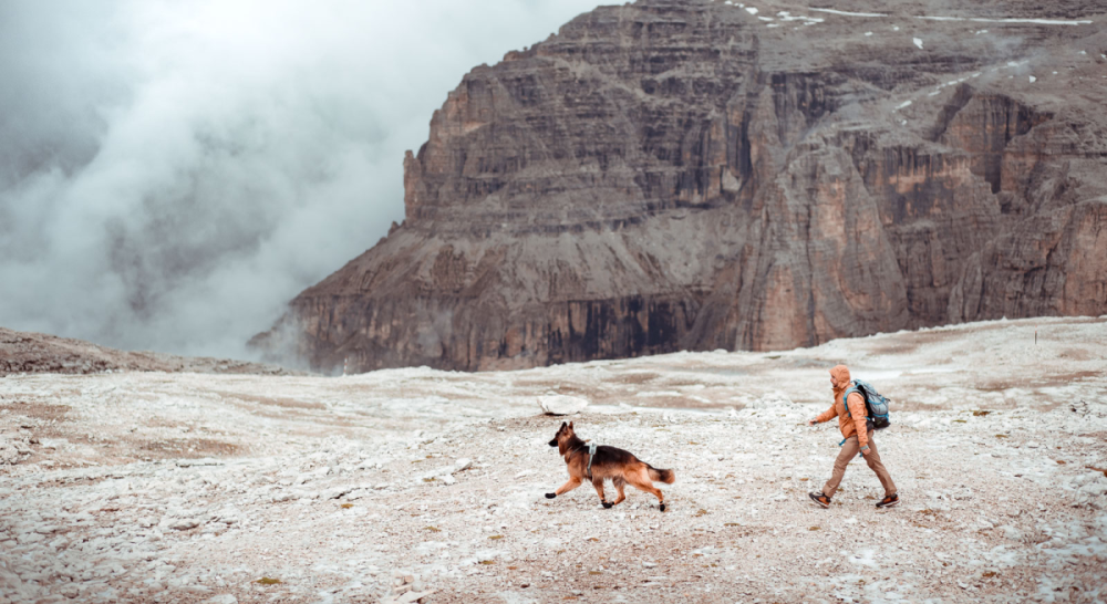 Non-Stop Protector Bootie