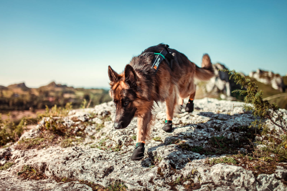 Non-Stop Protector Bootie
