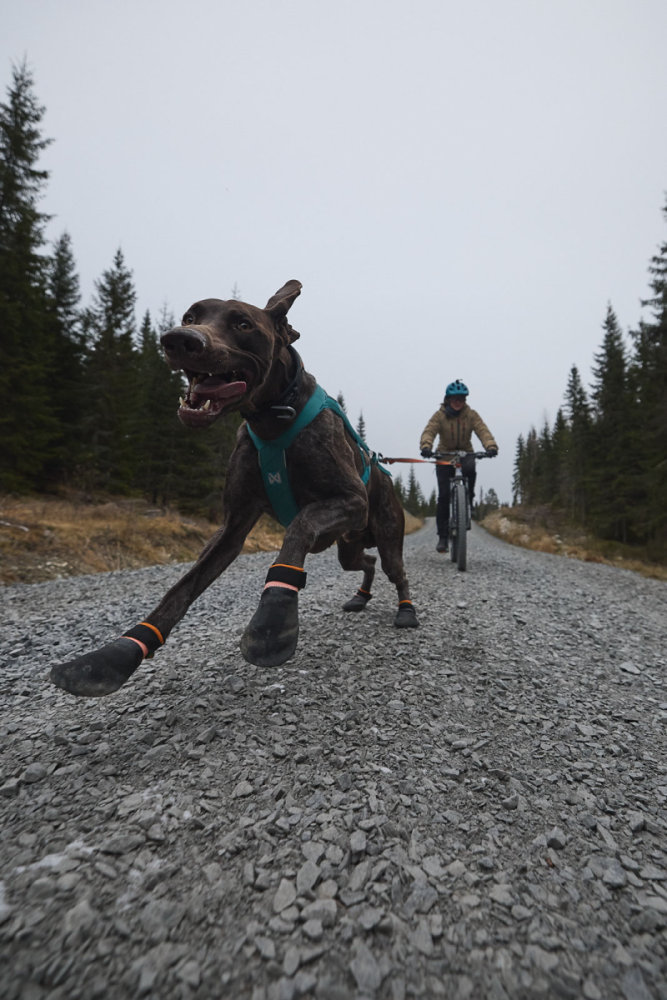 Non-Stop Protector Bootie