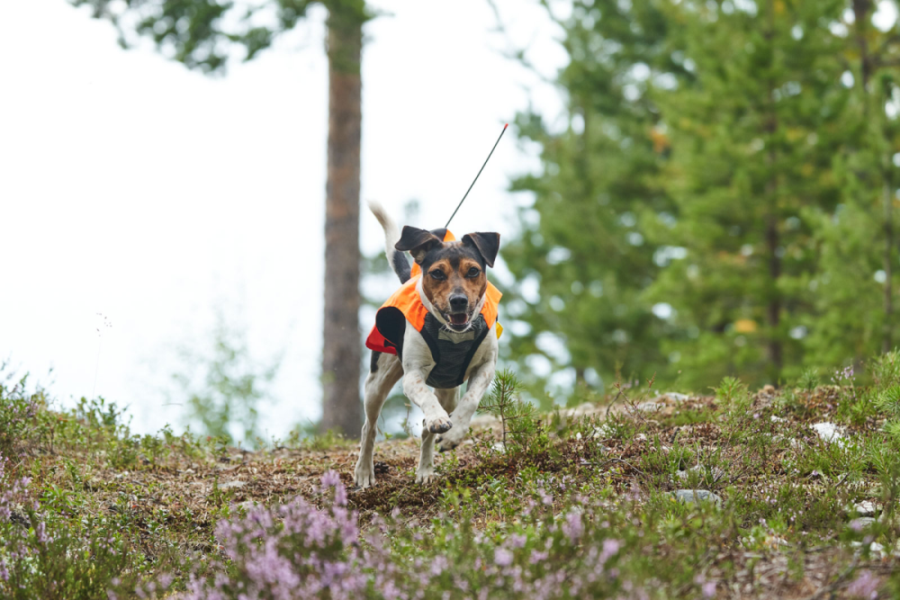 Non-Stop Protector Vest GPS