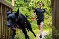 Non-Stop Bungee Leash