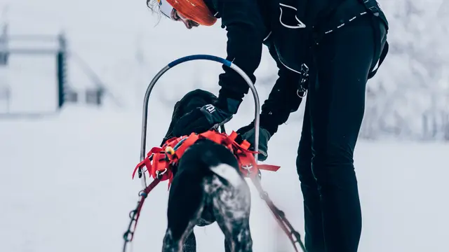 Non-Stop Combined Harness