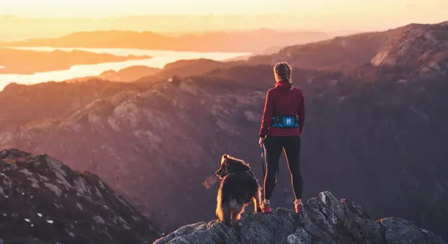 Non-Stop Ferd Belt, M