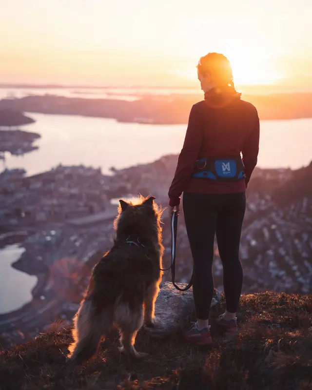 Non-Stop Ferd Belt, M