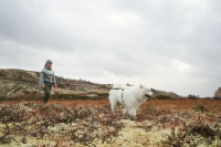 Non-Stop Ferd Belt, M