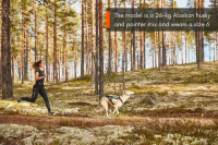 Non-Stop Freemotion Harness