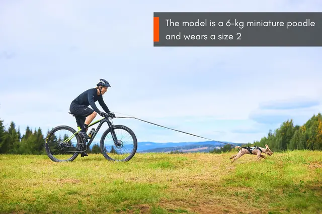 Non-Stop Freemotion Harness