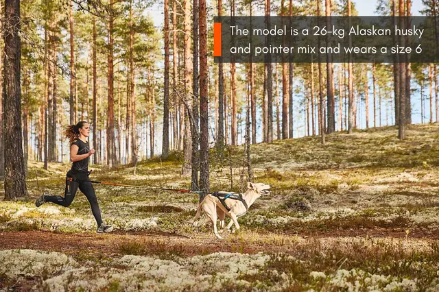 Non-Stop Freemotion Harness, 3