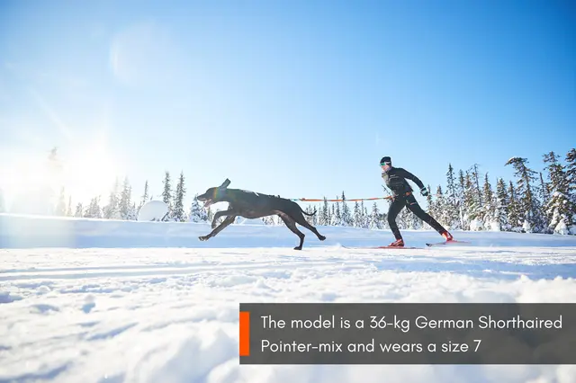 Non-Stop Freemotion Harness, 5