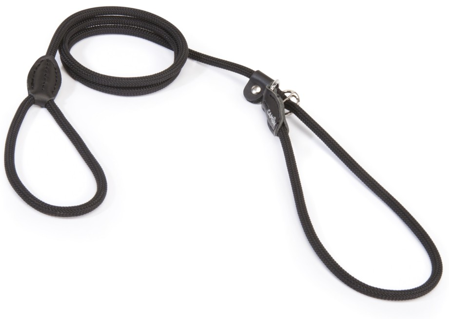 Camon Retrieverleine aus Nylon Tau - blau - mm8x1750