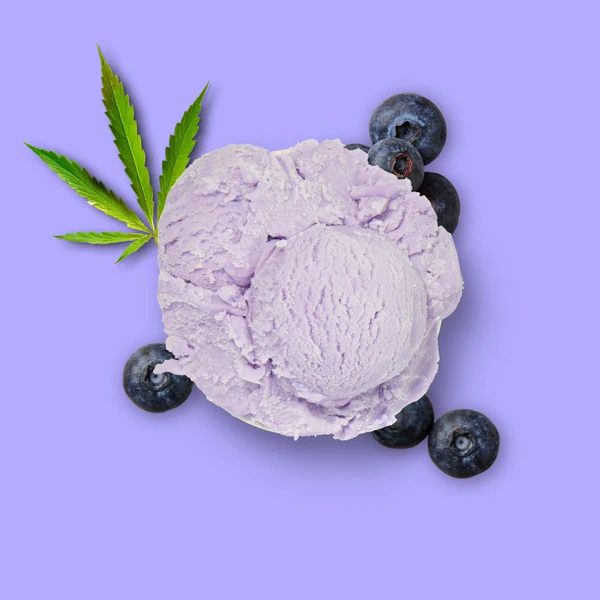 Nutriment Hundeglace Apfel Banane plus Hagebutte im Becher 90ml