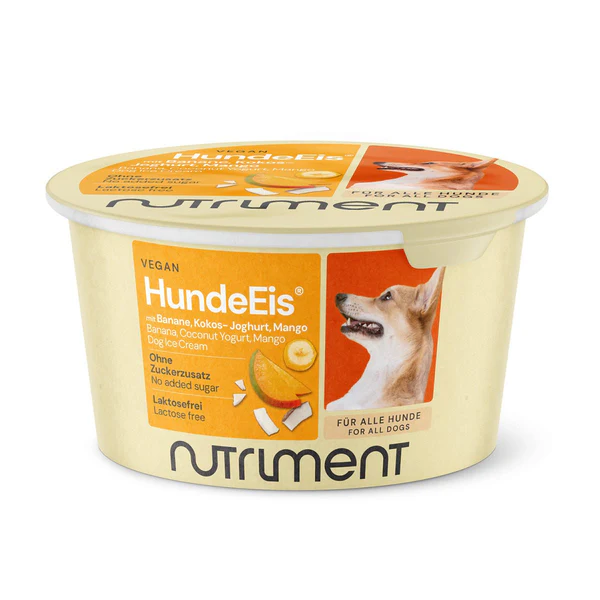 Hunde Glace