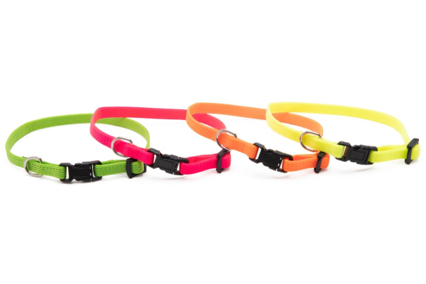 Camon Verstellb. Welpenhalsband 200/300mm - Neon-8mm