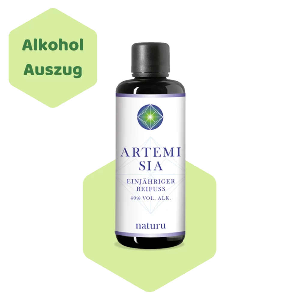 Naturu Artemisia Annua Alkohol Auszug