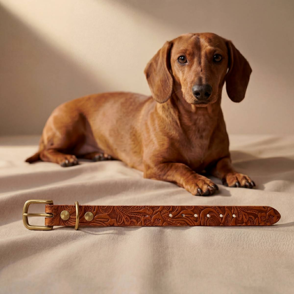 Doggy with Style Hundehalsband Leder mit Schnalle, Floralis-schmal, Cognac