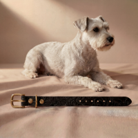Doggy with Style Hundehalsband Leder mit Schnalle Floralis-schmal M Schwarz