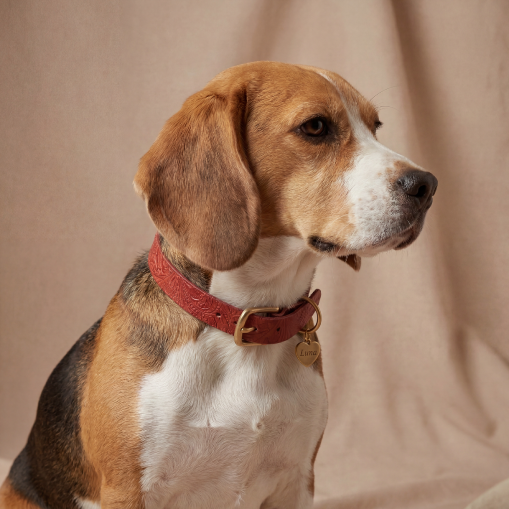 Doggy with Style Hundehalsband Leder mit Schnalle, Floralis-schmal, Rot