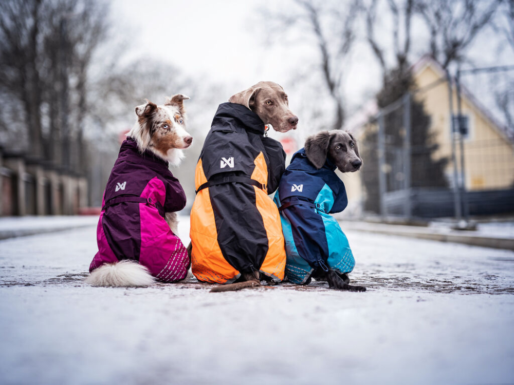 Non-Stop Glacier Jacket 2.0 purple