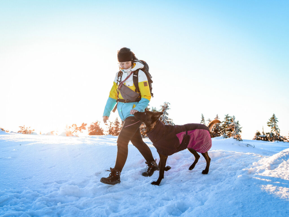 Non-Stop Glacier Jacket 2.0 purple