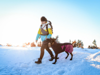 Non-Stop Glacier Jacket 2.0 purple