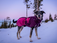 Non-Stop Glacier Jacket 2.0 purple
